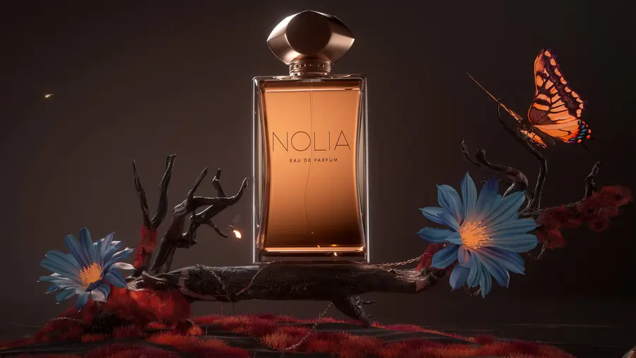 Nolia by Fabian Aerts