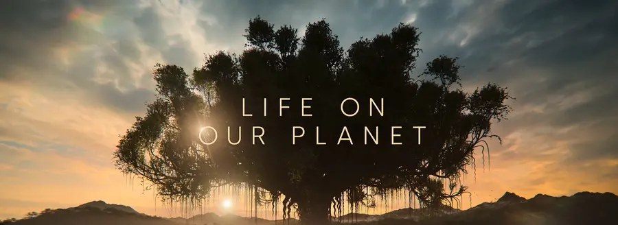 Life On Our Planet by Savva Tsekmes
