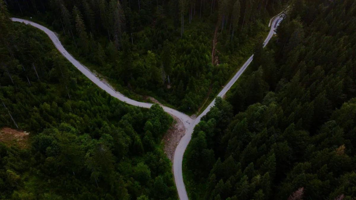 Aerial view of a forked forest road representing the split between Figma Make and Penpot