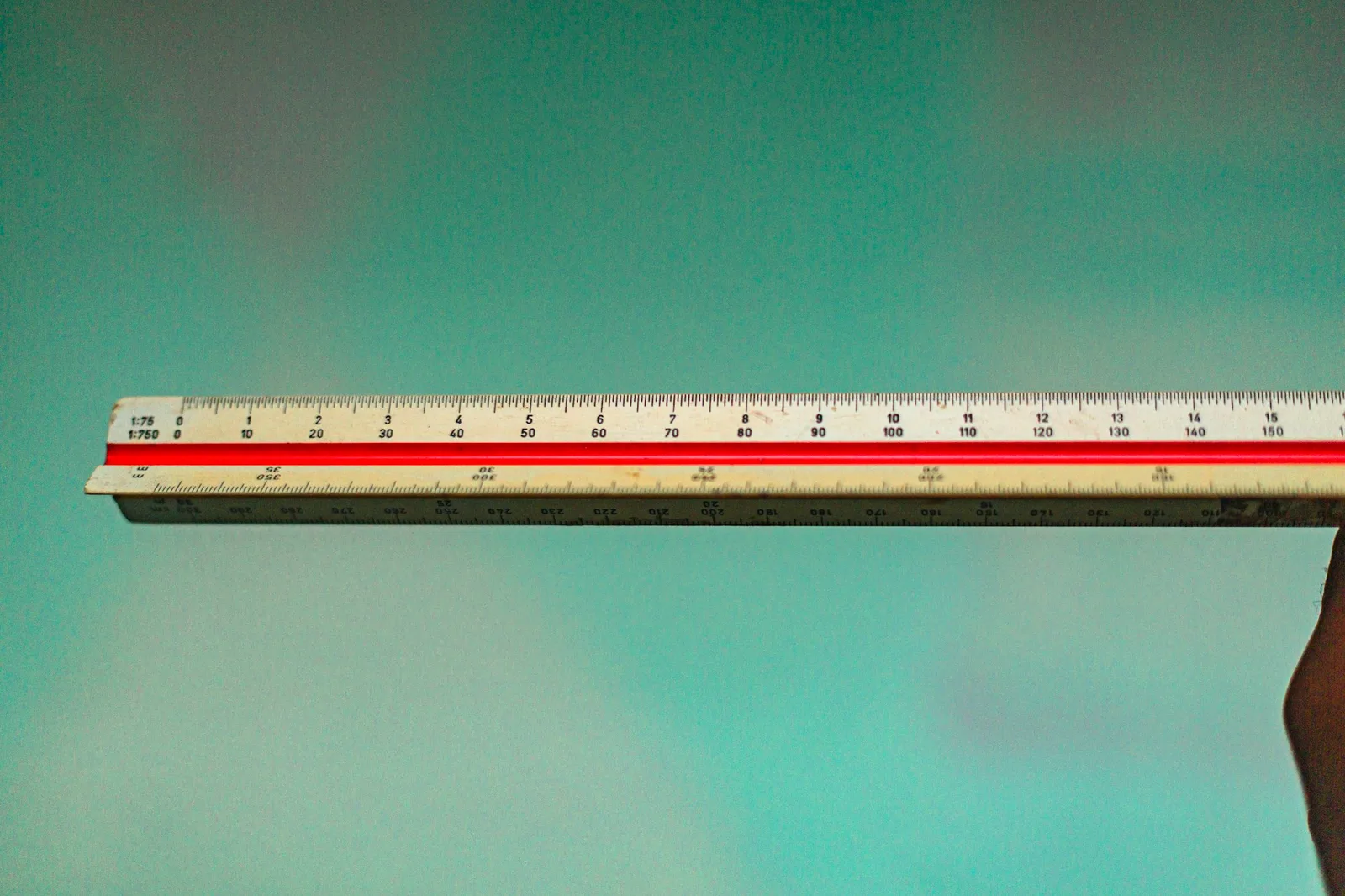 Close-up of a person holding a ruler, suggesting measurement and proportion
