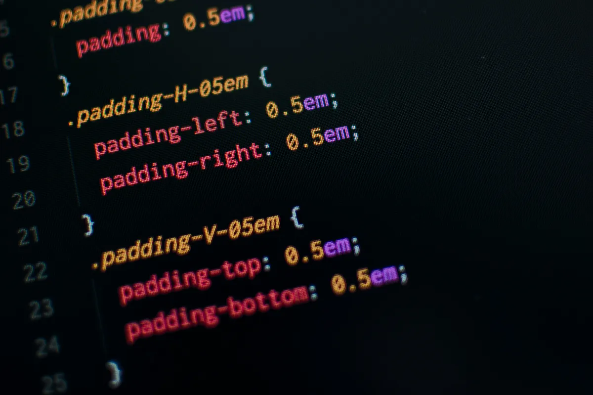 Close-up of CSS padding property values in a code editor